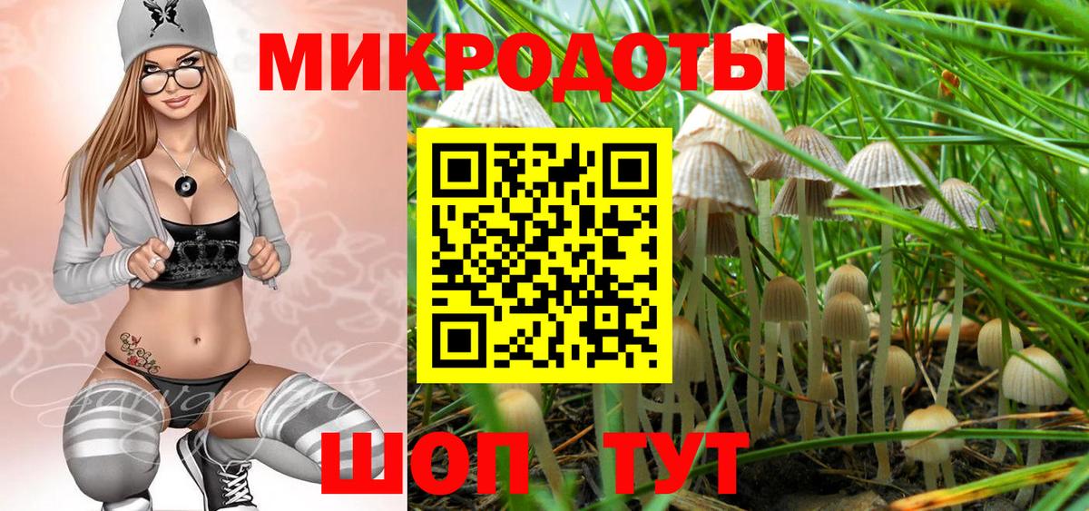 Псилоцибиновые грибы GOLDEN TEACHER  Вход с VPN  Ростов-на-Дону 